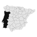 Concentraciones Ibericas Goldwing